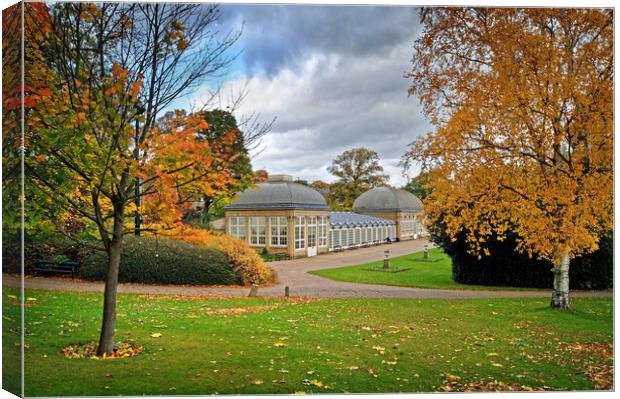 Sheffield Botanical Gardens in Autumn              Canvas Print by Darren Galpin