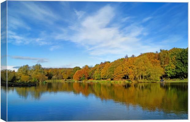 Dearne Valley Country Park in Autumn Canvas Print by Darren Galpin