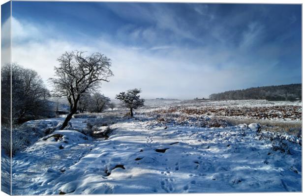 Lawrence Field in Winter Canvas Print by Darren Galpin