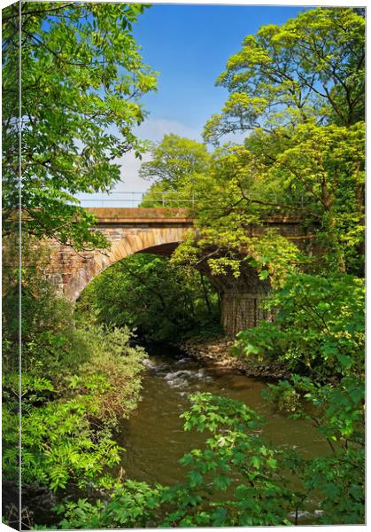 Bridge over The River Derwent Canvas Print by Darren Galpin