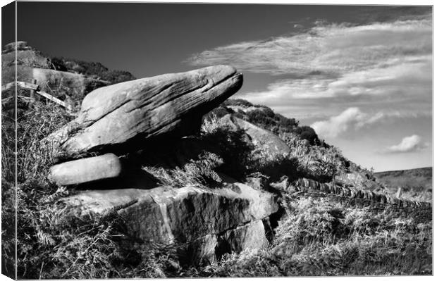 Toads Mouth  Canvas Print by Darren Galpin