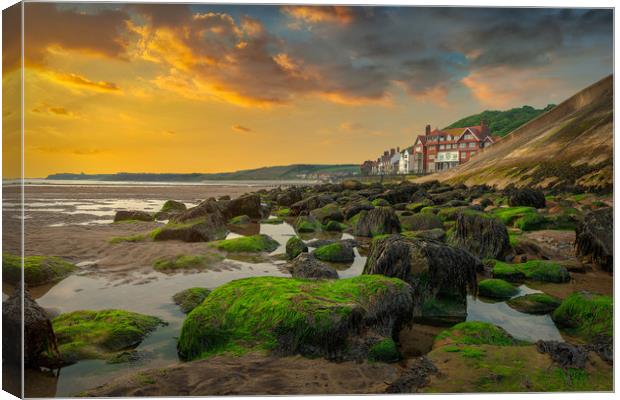 Seaweed on the Rocks Canvas Print by Darren Ball