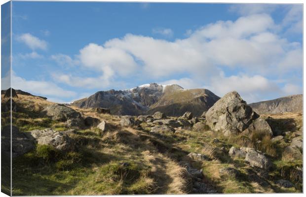 y garn Canvas Print by kevin murch