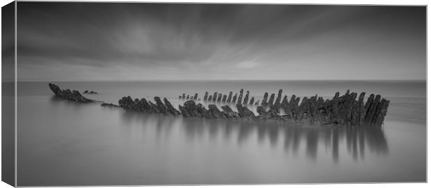 brean sands shipwreck Canvas Print by kevin murch
