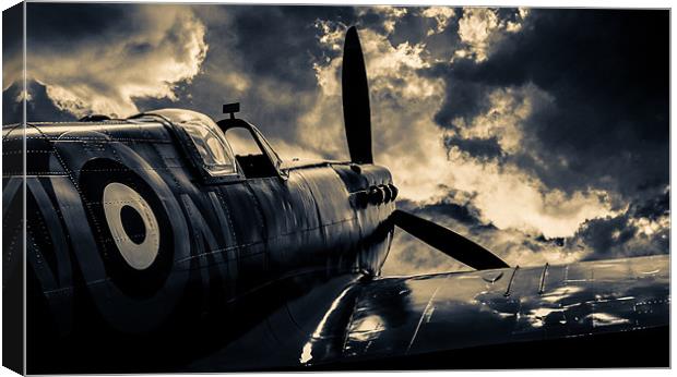 Pining Spitfire Canvas Print by Michael McNeil
