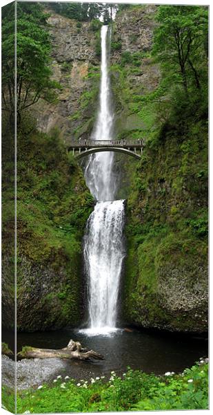 Multnomah Falls Canvas Print by Steve Bieberich