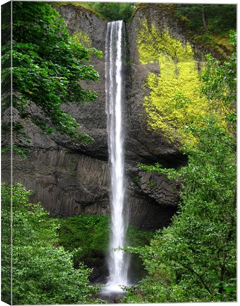 Oregon Waterfall Canvas Print by Steve Bieberich