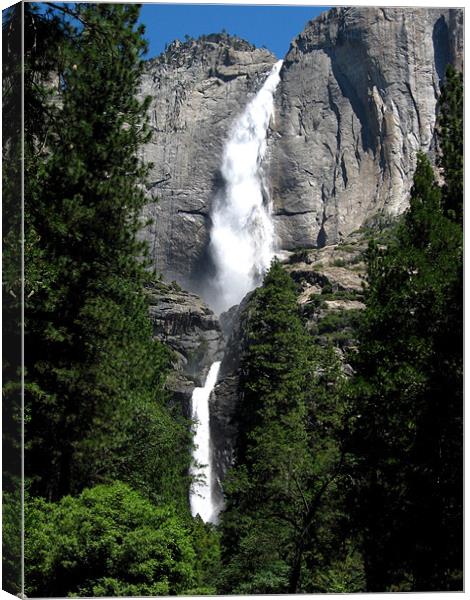 Yosemite Falls Canvas Print by Steve Bieberich