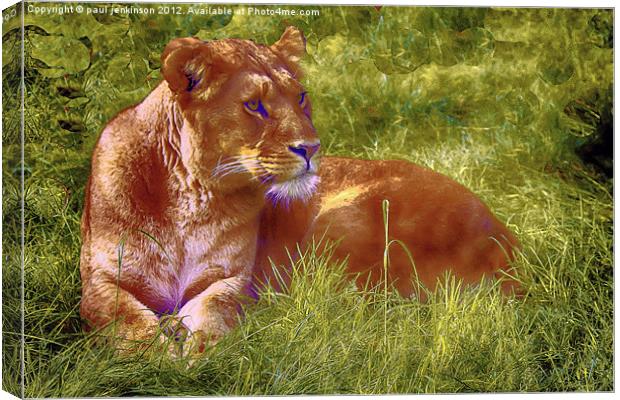 In her Sights Canvas Print by paul jenkinson