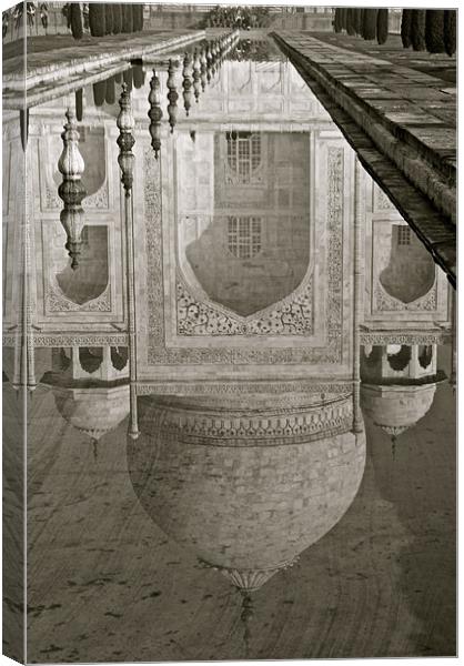 The Taj Mahal Canvas Print by Norwyn Cole