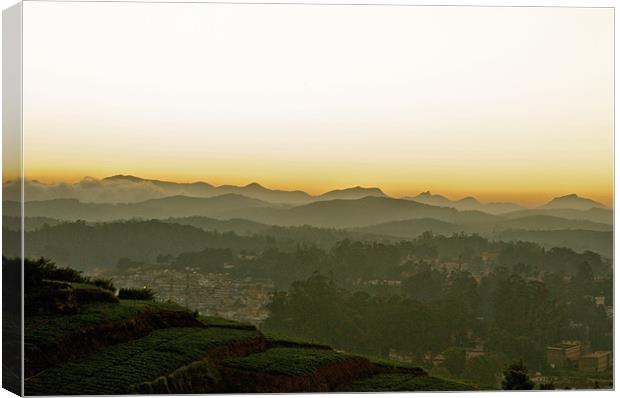 Ooty at Sunset Canvas Print by Norwyn Cole