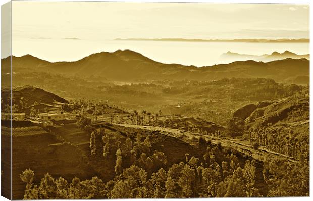 Coonoor in the Morning Canvas Print by Norwyn Cole