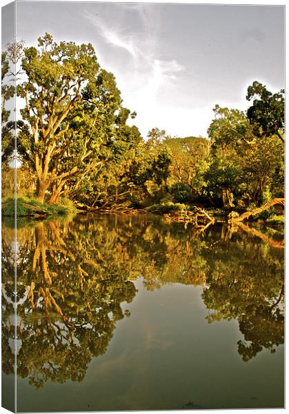 The Moyar River being reflective Canvas Print by Norwyn Cole