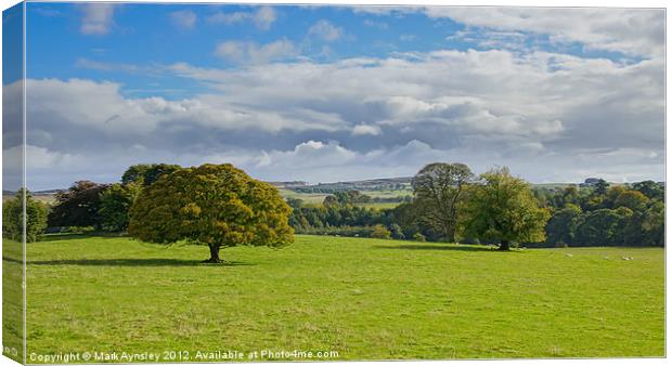 Green and pleasant land. Canvas Print by Mark Aynsley