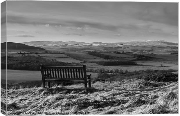Bench with a view. B&W Canvas Print by Mark Aynsley