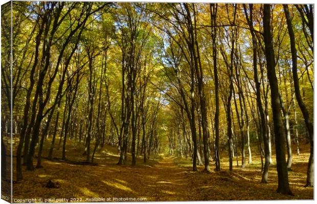 Autumn Woodlands, Slovakia Canvas Print by paul petty