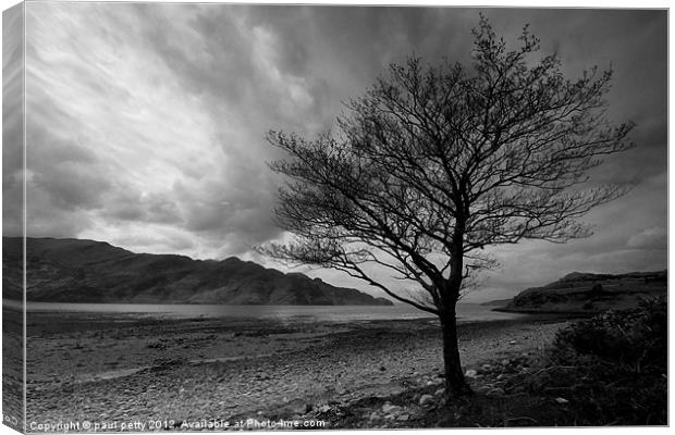 Corran Tree Canvas Print by paul petty