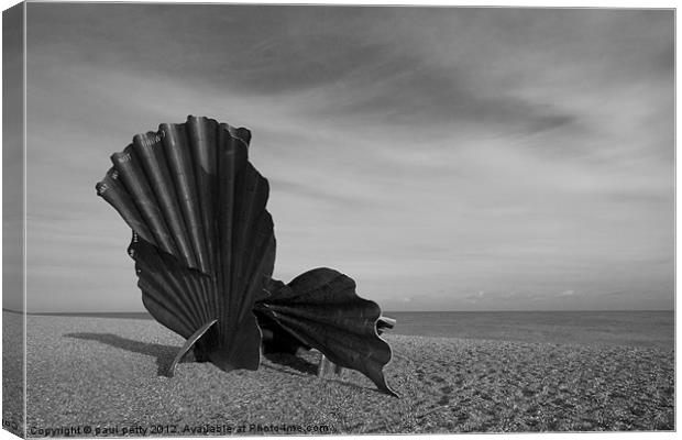Black and White Scallop Canvas Print by paul petty