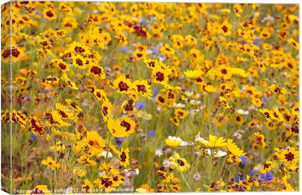 Olympic Park Meadow Canvas Print by paul petty