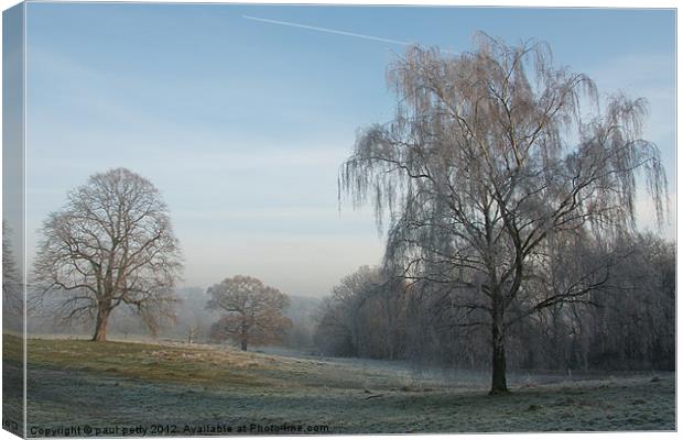 Frosty Morning Canvas Print by paul petty