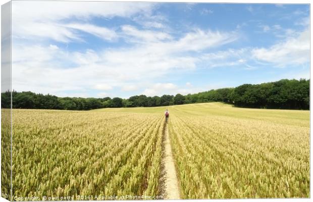 field. Canvas Print by paul petty