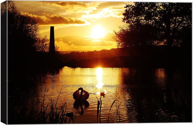 Heavens Glow Canvas Print by Catherine Davies