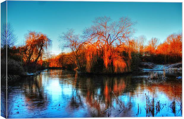 Golden winter trees, landscape Canvas Print by Catherine Davies