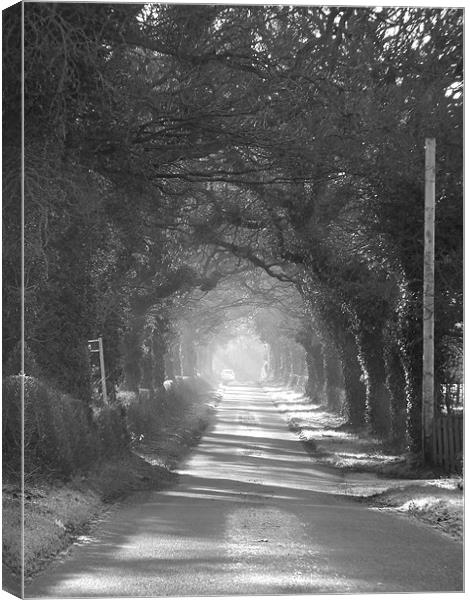 mysterious lane Canvas Print by Shaun Cope