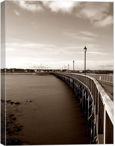 the boardwalk Canvas Print by Shaun Cope