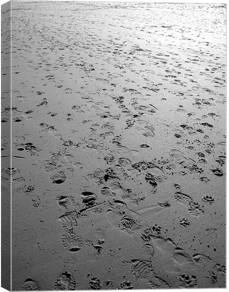 footsteps Canvas Print by Shaun Cope