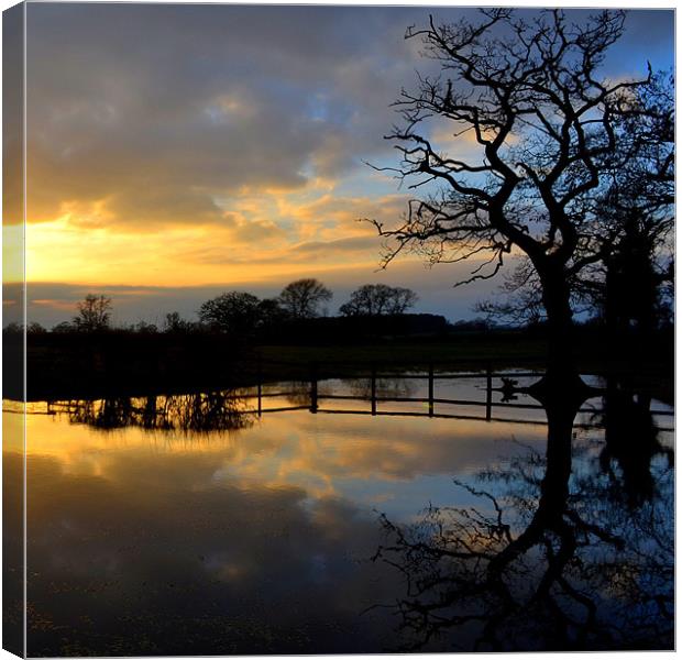 Silhouette Flooding Reflection Canvas Print by Shaun Cope