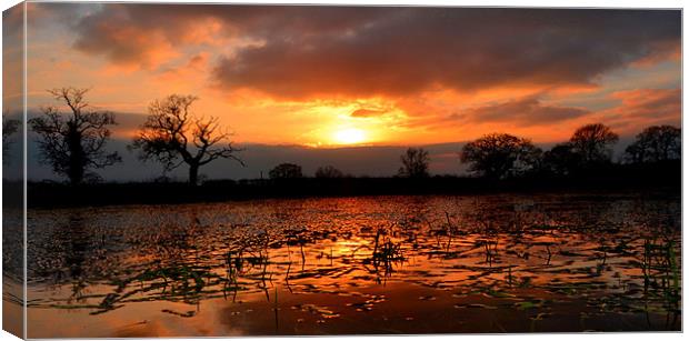 Orange Sunset Reflection Canvas Print by Shaun Cope