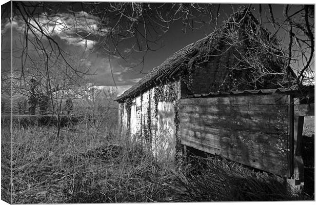Old Moody Building Canvas Print by Shaun Cope