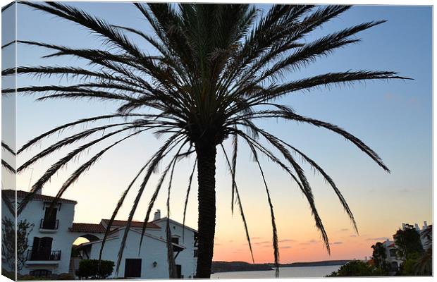 Sunset Palm Canvas Print by Shaun Cope