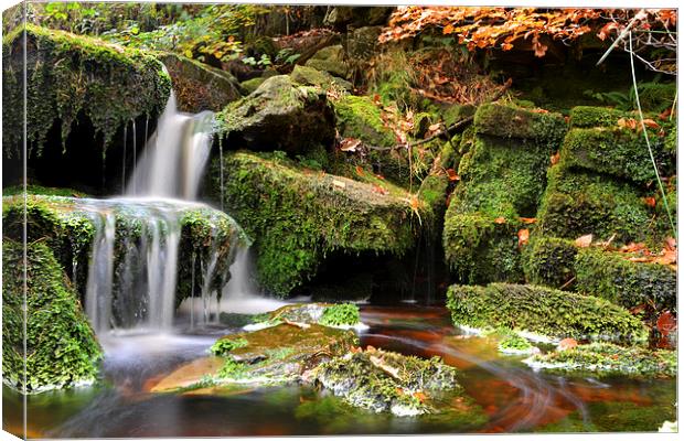  Waterfall Green Moss Canvas Print by Shaun Cope