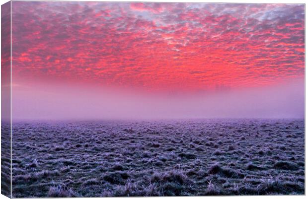 Sunrise at Widbrook Common Canvas Print by Mick Vogel