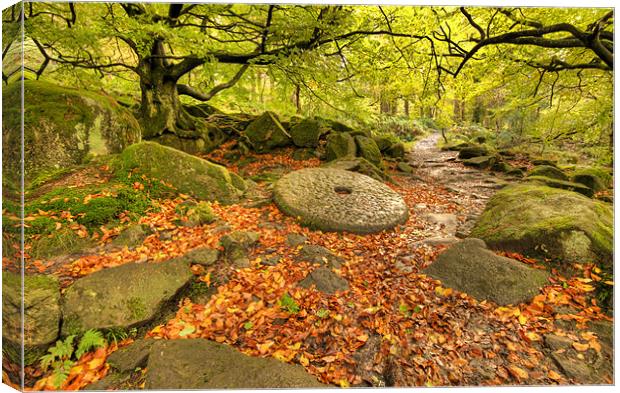 Padley Gorge Canvas Print by Tracey Whitefoot