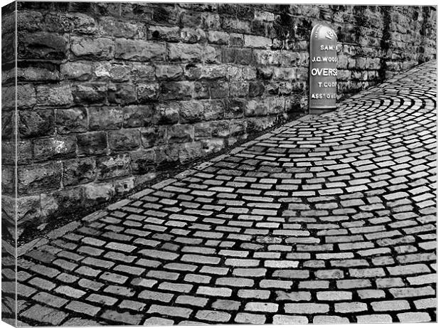 Bricks Canvas Print by Tracey Whitefoot