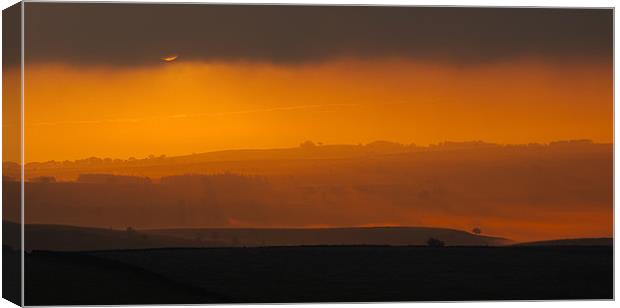 Sunrise Canvas Print by Tracey Whitefoot