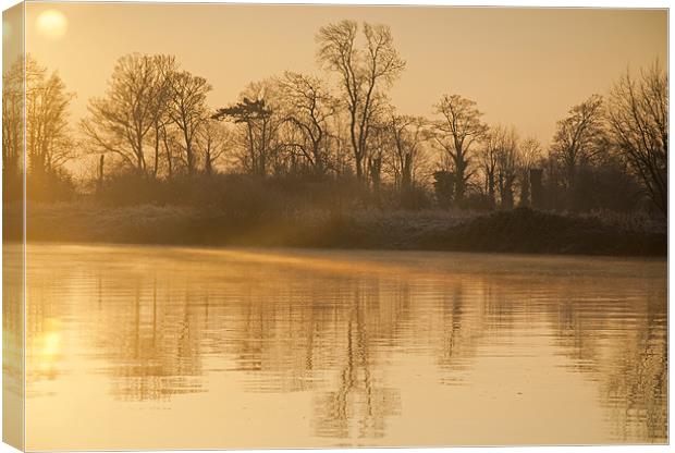 Misty Winter Morning Canvas Print by Tracey Whitefoot