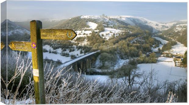 Monsal Dale Canvas Print by Tracey Whitefoot