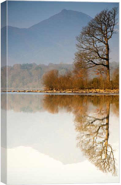 Reflection Canvas Print by Tracey Whitefoot