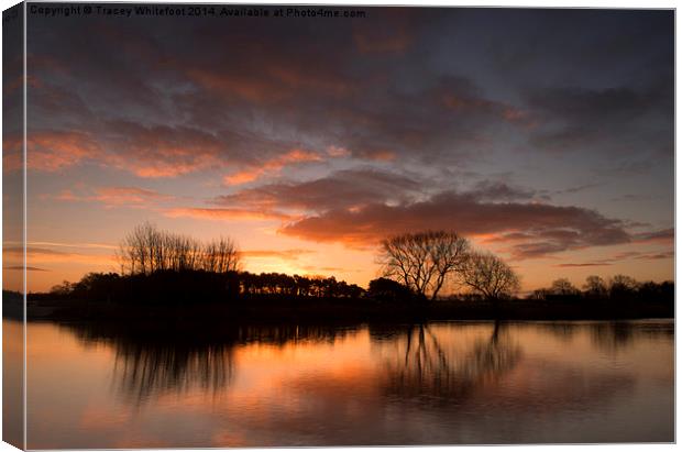 Sunrise at Colwick Park Canvas Print by Tracey Whitefoot