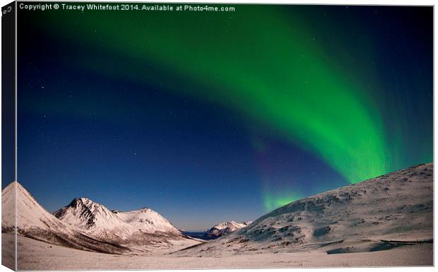 Aurora in the Mountains Canvas Print by Tracey Whitefoot