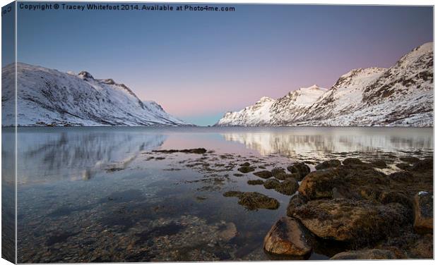 Ersfjordbotn Reflections Canvas Print by Tracey Whitefoot