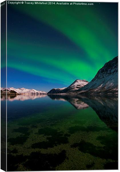 Aurora Reflections Canvas Print by Tracey Whitefoot