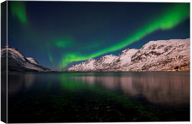 Crocodile Aurora Canvas Print by Tracey Whitefoot