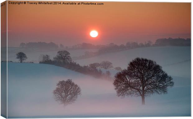 Winter Sunrise Canvas Print by Tracey Whitefoot