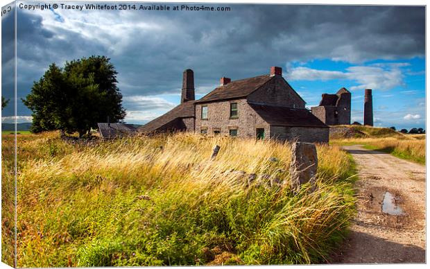 Magpie Mine Canvas Print by Tracey Whitefoot