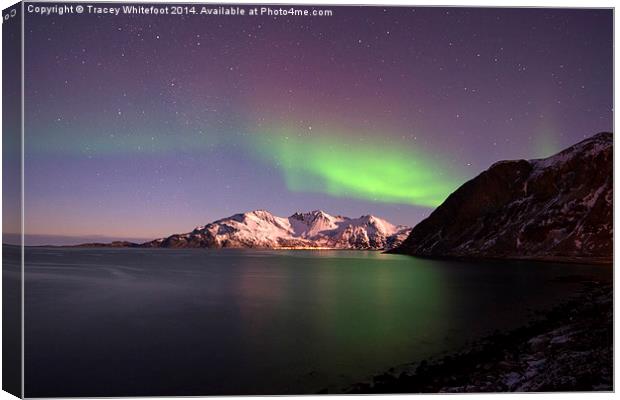 Grotfjord Aurora Canvas Print by Tracey Whitefoot
